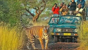 Rajasthan Wildlife and Heritage Tour Package: A Perfect 7-Day 6-Night Trip