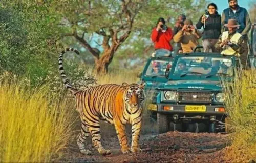 Rajasthan Wildlife and Heritage Tour Package: A Perfect 7-Day 6-Night Trip